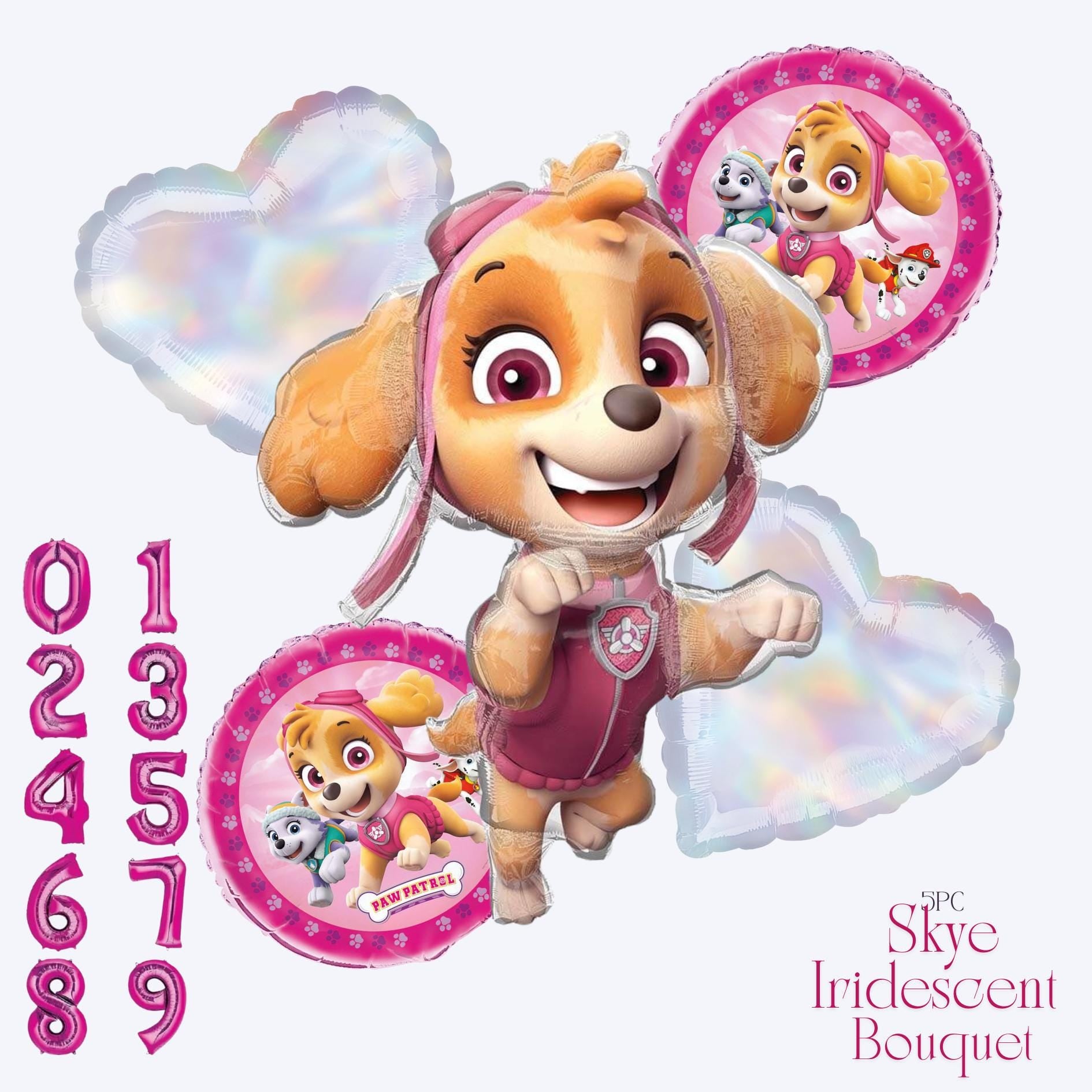Paw Patrol Girl party supplies - Licensed by Unique Industries | Skye birthday banner | Skye PAW Patrol | Paw Patrol girl Birthday decor