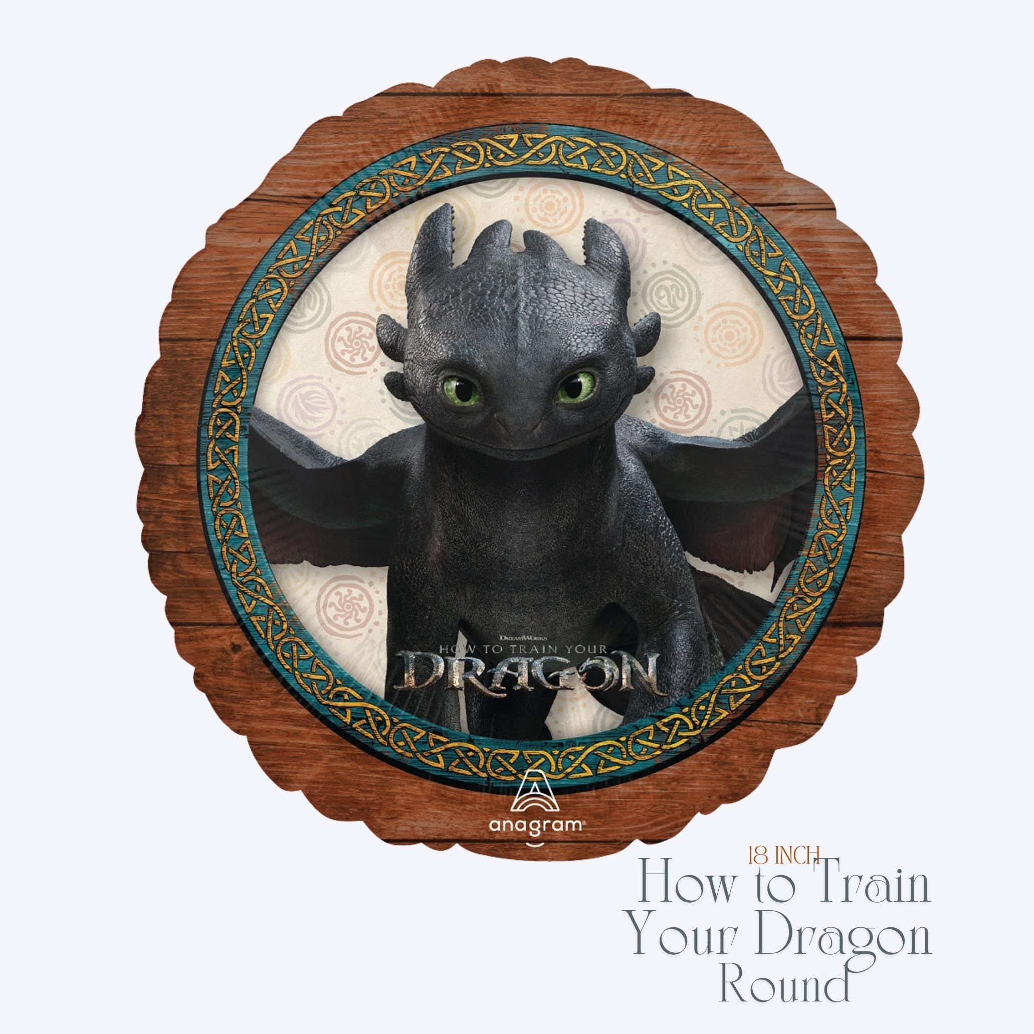 18" How to Train Your Dragon Round
