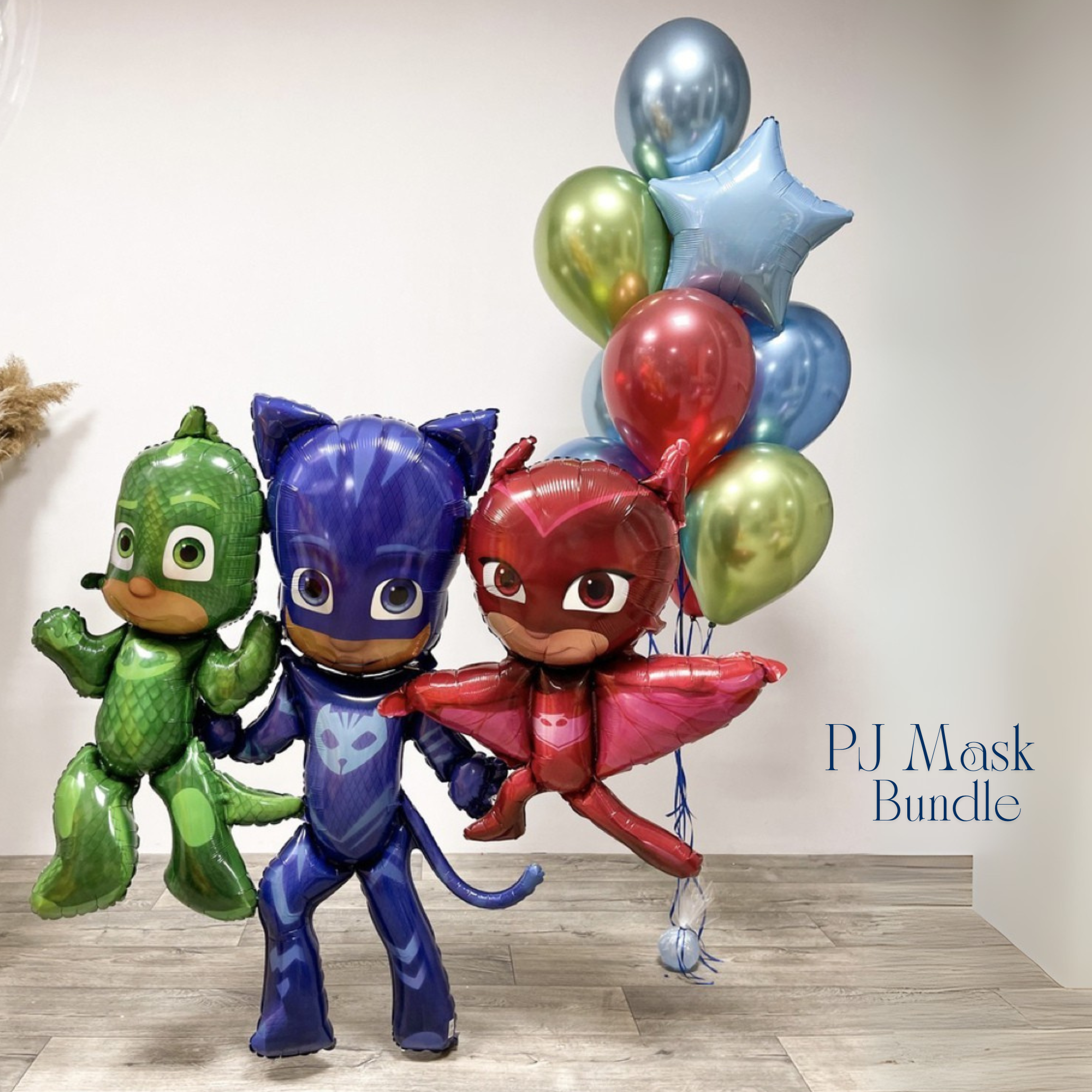 PJ Masks Owelette
