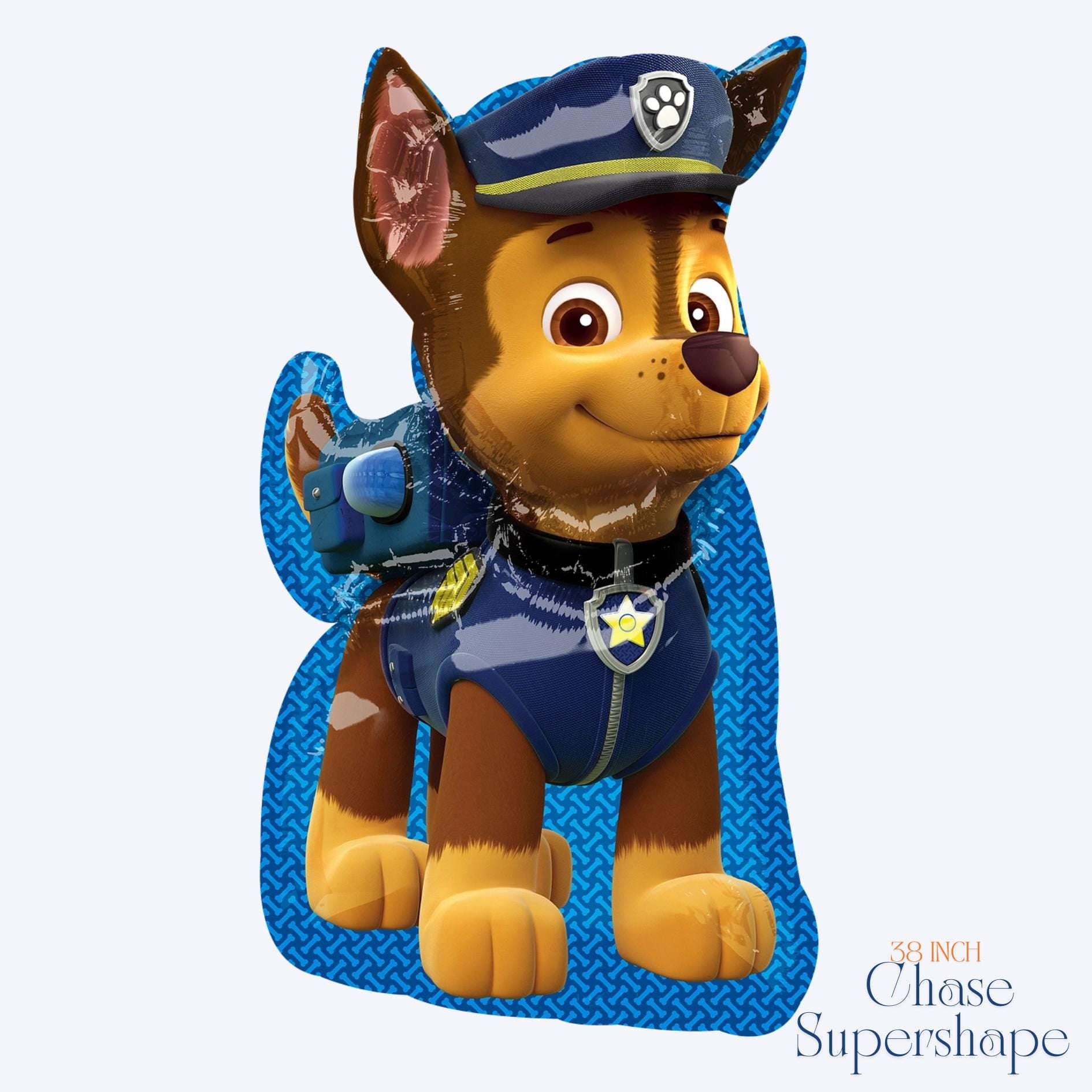 Skye PAW Patrol Balloon Bouquet: Girls Birthday Party Decorations