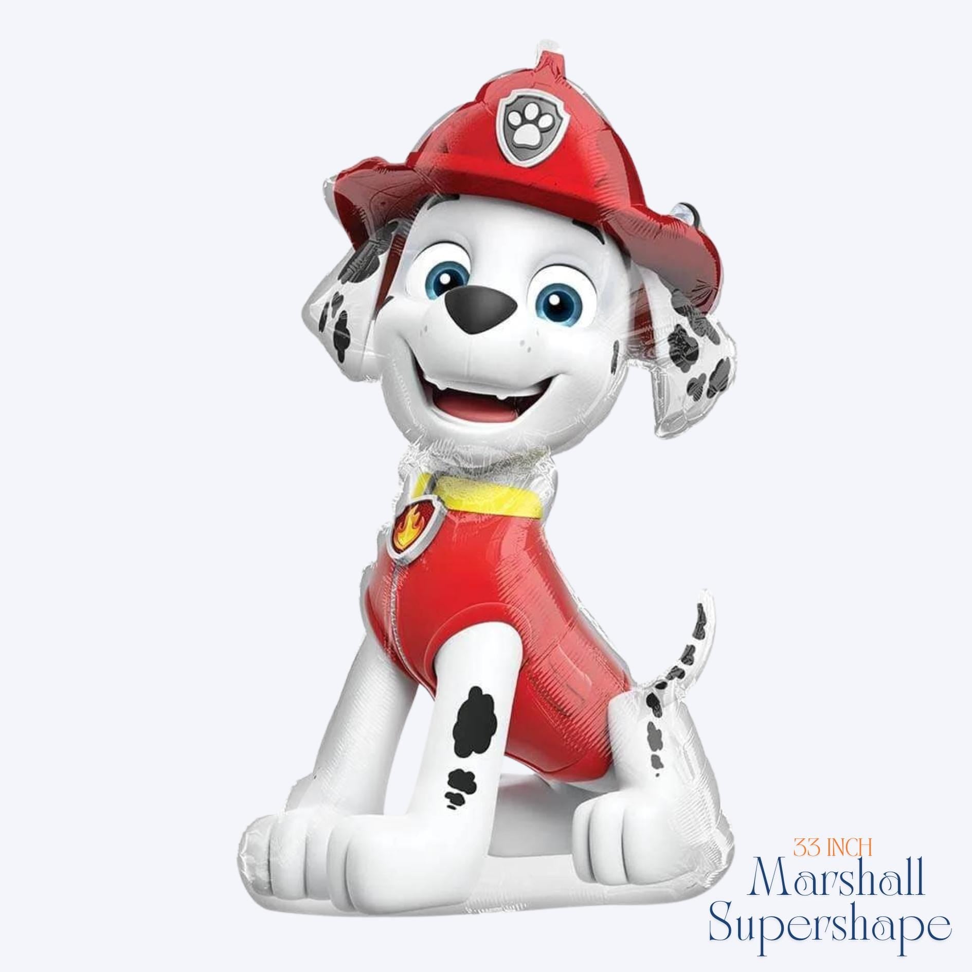 Skye PAW Patrol Balloon Bouquet: Girls Birthday Party Decorations